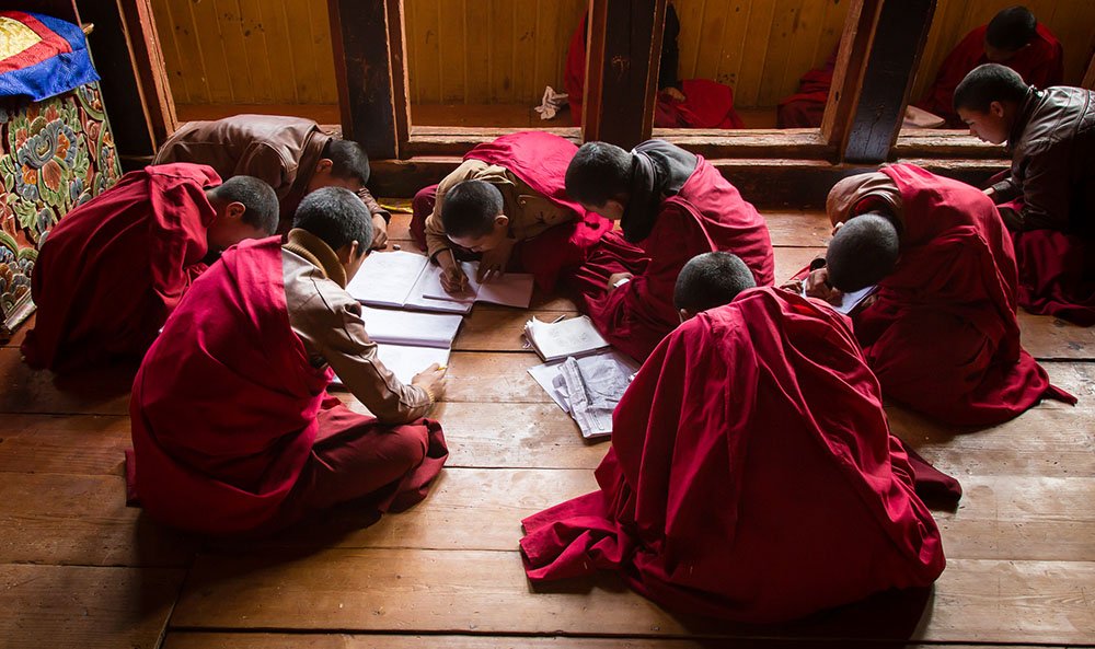 Work with us (partnership)