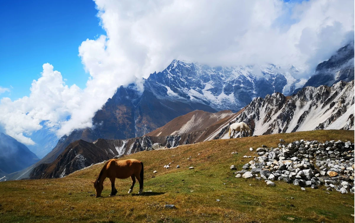 Langtang valley trek Guide
